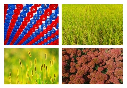 이미지명① 입력