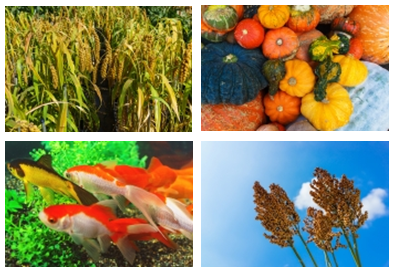 이미지명① 입력