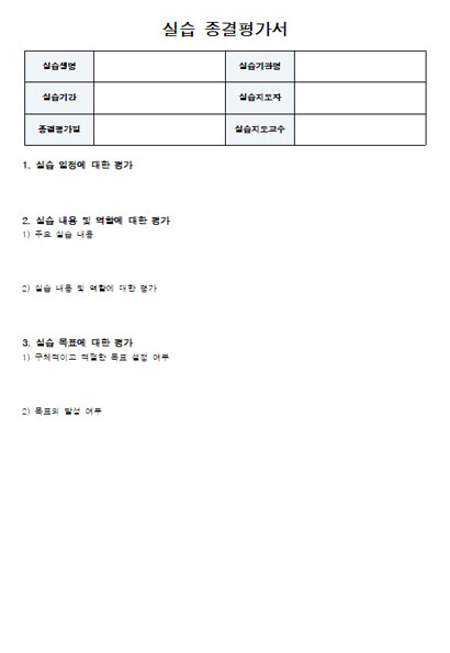 실습종결평가서 미리보기
